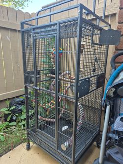 Parot Cage