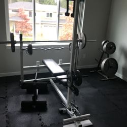Olympic Free Weights & Gym Set