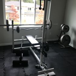 Olympic Free Weight & Gym Set