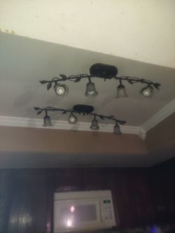 Light Fixtures Rose's $130 Ea Obo