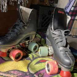 Chicago Skates 