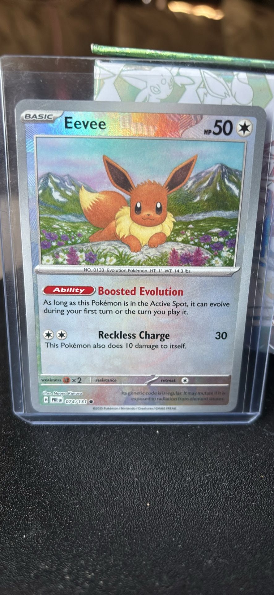 Eevee Master Ball 