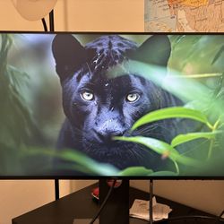 21' Dell U2419H Monitor