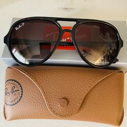 New RB Polarized Cats