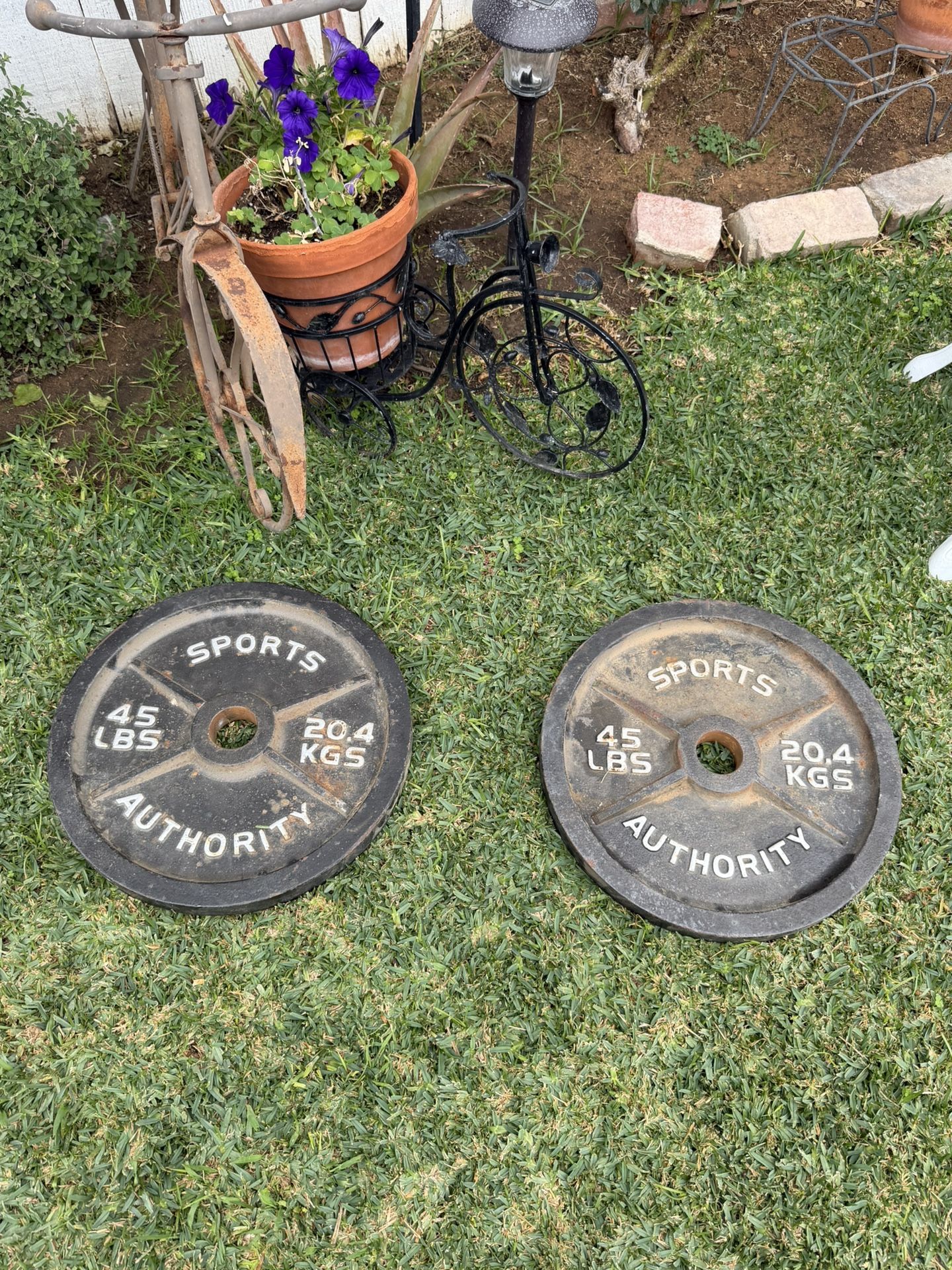 45 lb Olympic weight plates