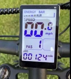 Ridstar LCD Display