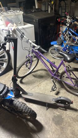 Electric scooter and bike