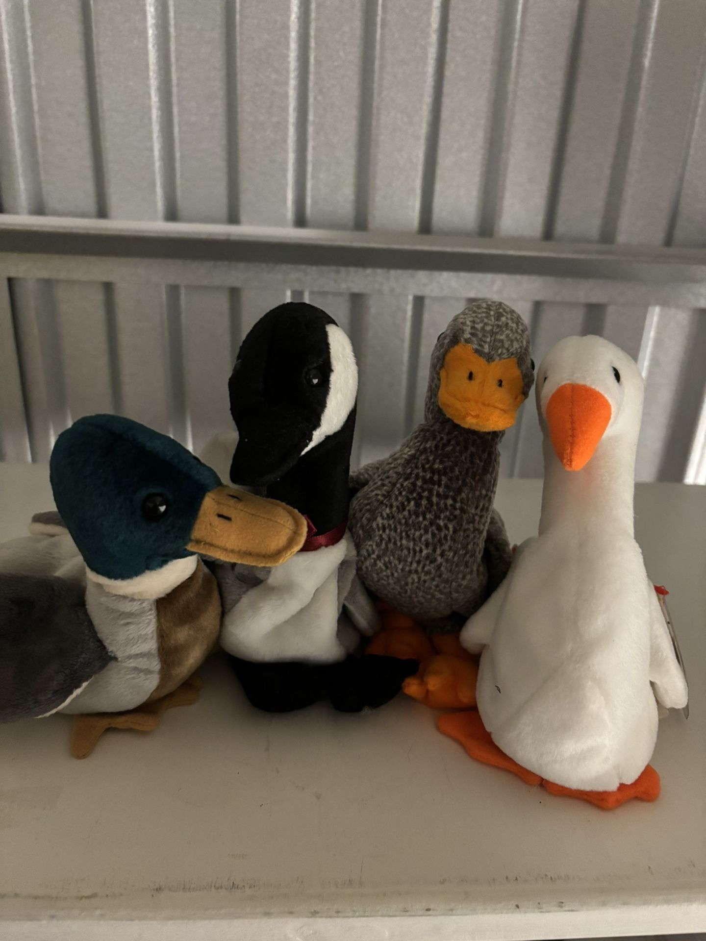 Ty Beanie Babies: Pond Bundle