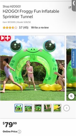 H2OGO! Froggy Fun Inflatable Sprinkler Tunnel