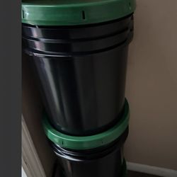 Gain Washing Powder 5 Gallon 