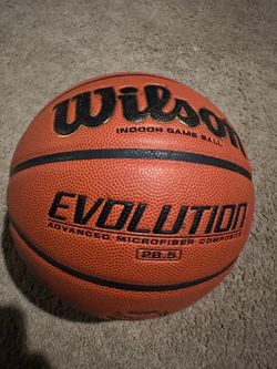 Wilson evolution indoor game ball 28.5
