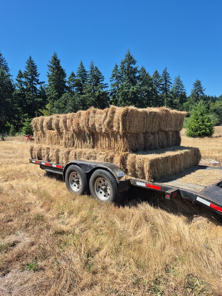 Local Hay For Sale