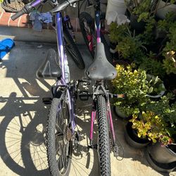 Specialized Mountain Bike 