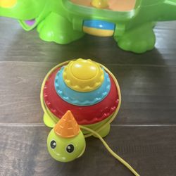 Pull Tortoise 