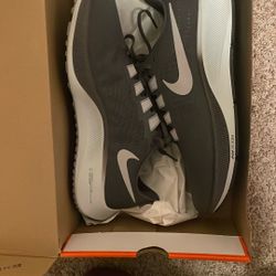 Nike Air Zoom Pegasus