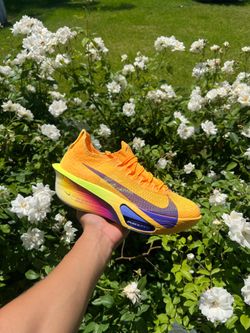 Aphlaflys