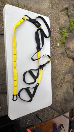 TRX work out system