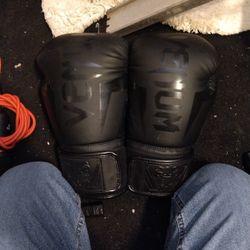 Venum Boxing Gloves 