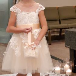 Gorgeous Dress For Girl 5-8 Years old. Or Flower Girl Dress,Baskets,etc.