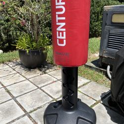Punching Bag