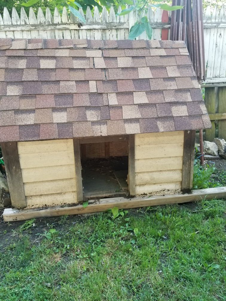 Large dog house
