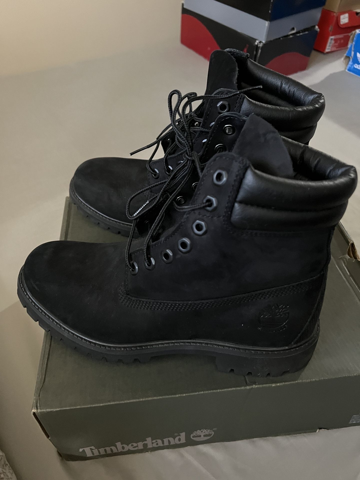 Timberland Hommes 