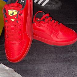 Ferrari Pumas Shoes