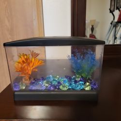 Small 9×3inch Beta Fish Tank with Decor