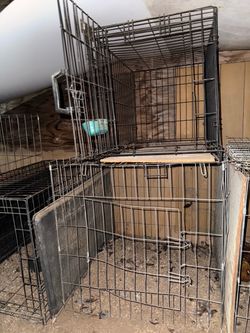 Chicken Cage