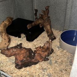 Reptile Cage