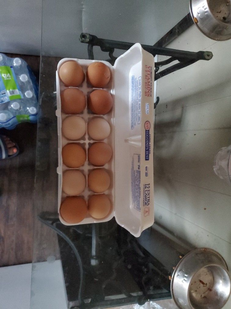 BBS Brahma Hatching Eggs