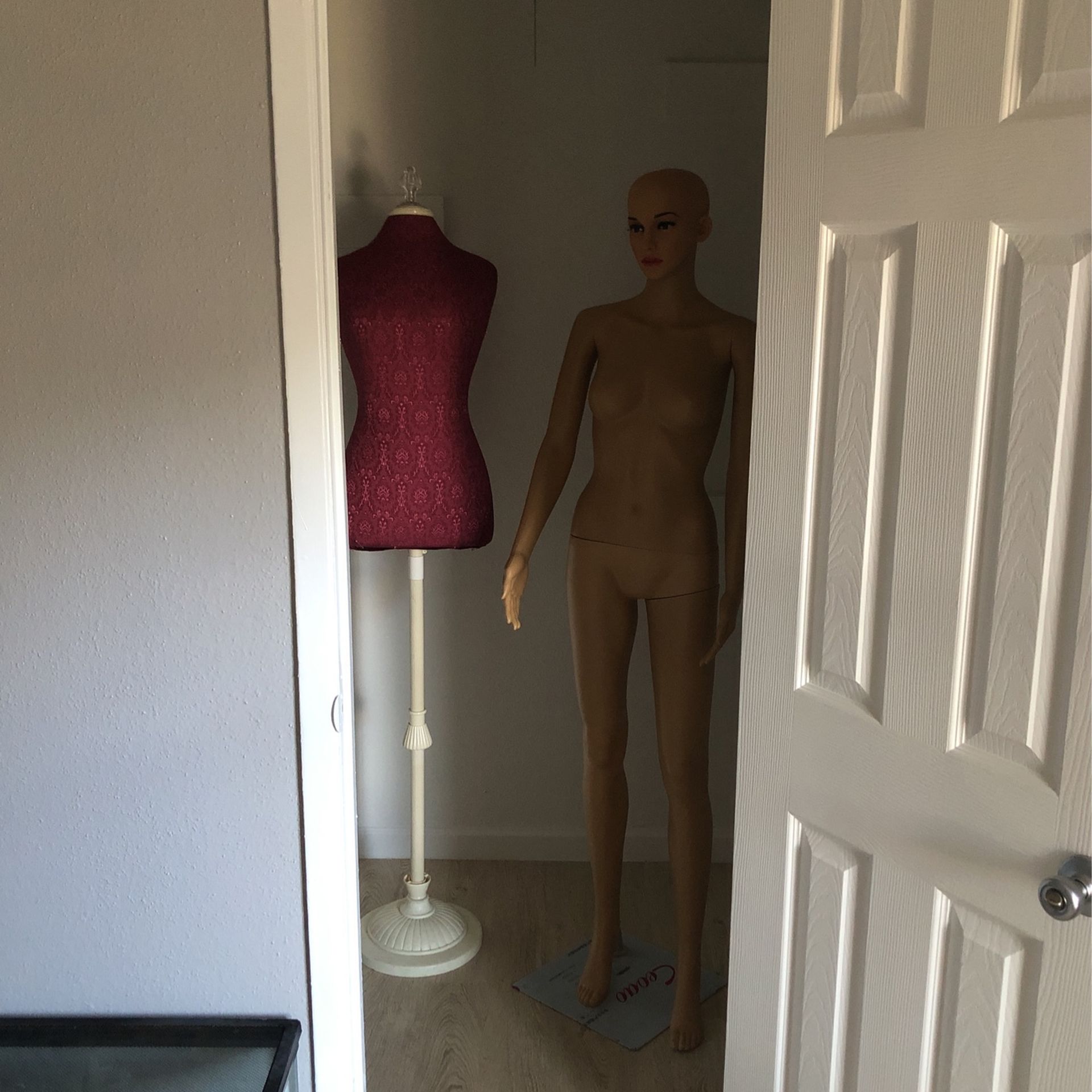 Manikin