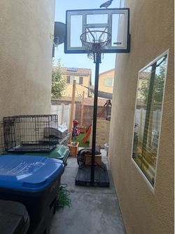 Basketball Court
