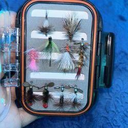 Flies