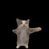 🐈‍⬛
