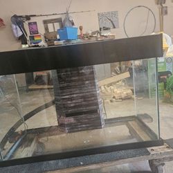 Fluval Accent 25 Gallon With Built In Siphon