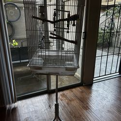 Bird Cage 
