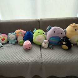 Squishmallows - All Or Individually