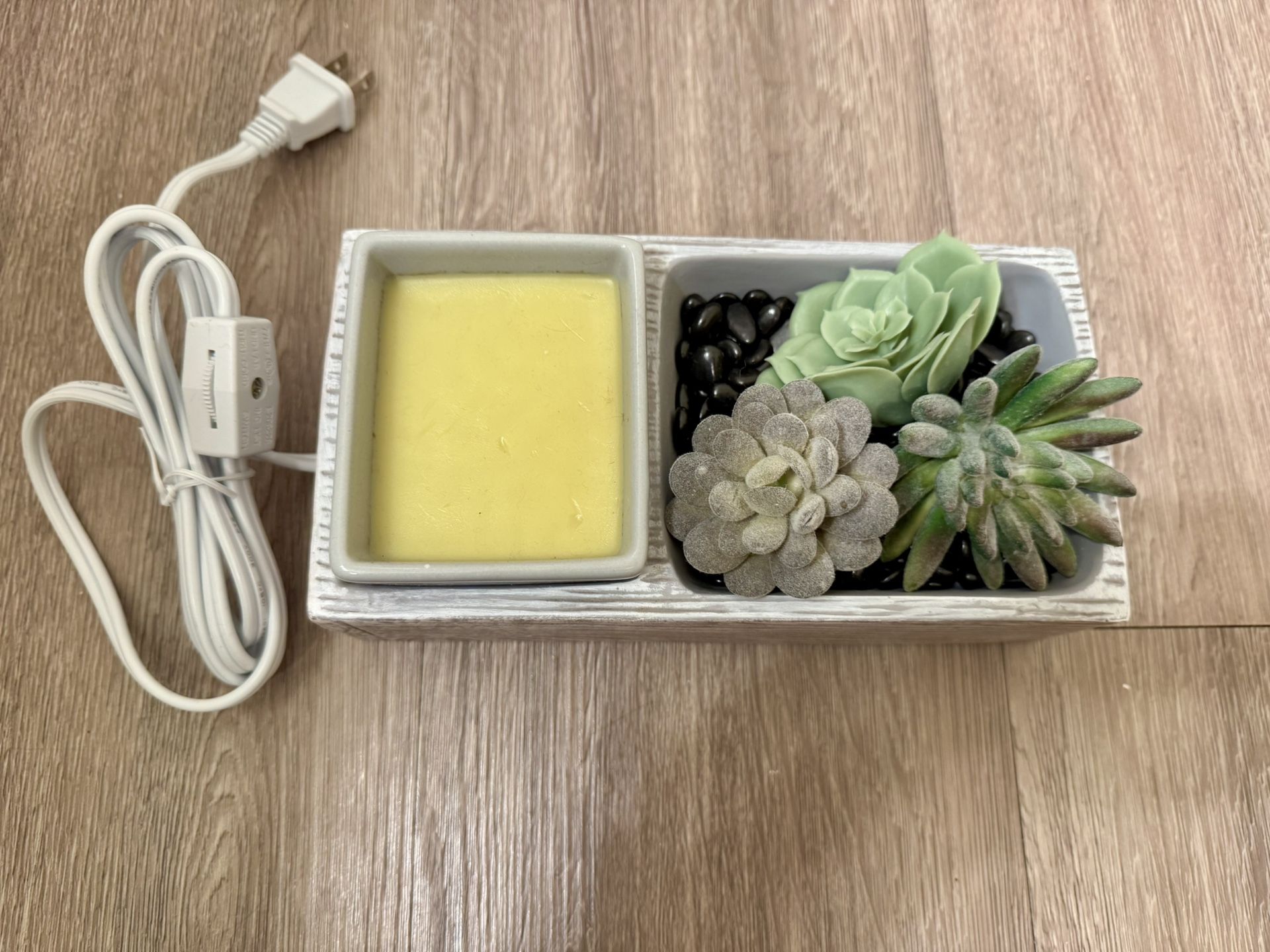 Electric Wax Warmer with Succulent Decor