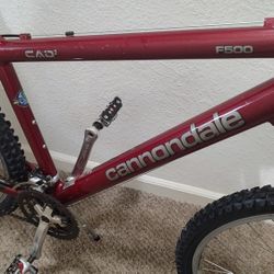 CANNONDALE CAD2 F500