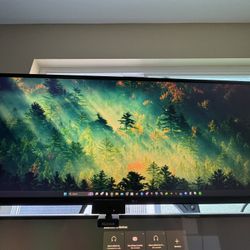LG Ultrawide Monitor