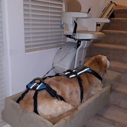 Full Body DOG Harness 