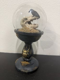 Gothic Glass Dome Skull and Raven Figurine