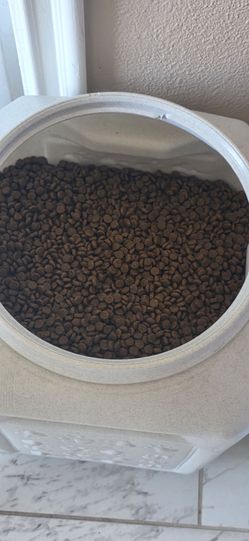 Free cat food