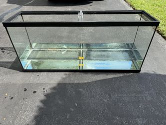 55 Gallon Fish Tank