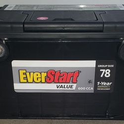 Everstart Battery 