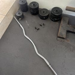 Ez Curl Bar With Weights 