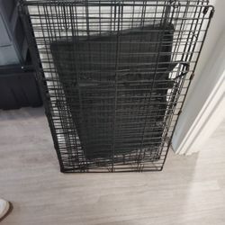 Kennel