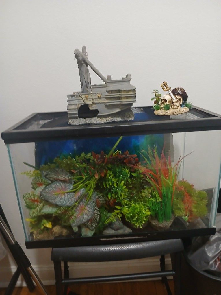 5 Gallon Fish Tank