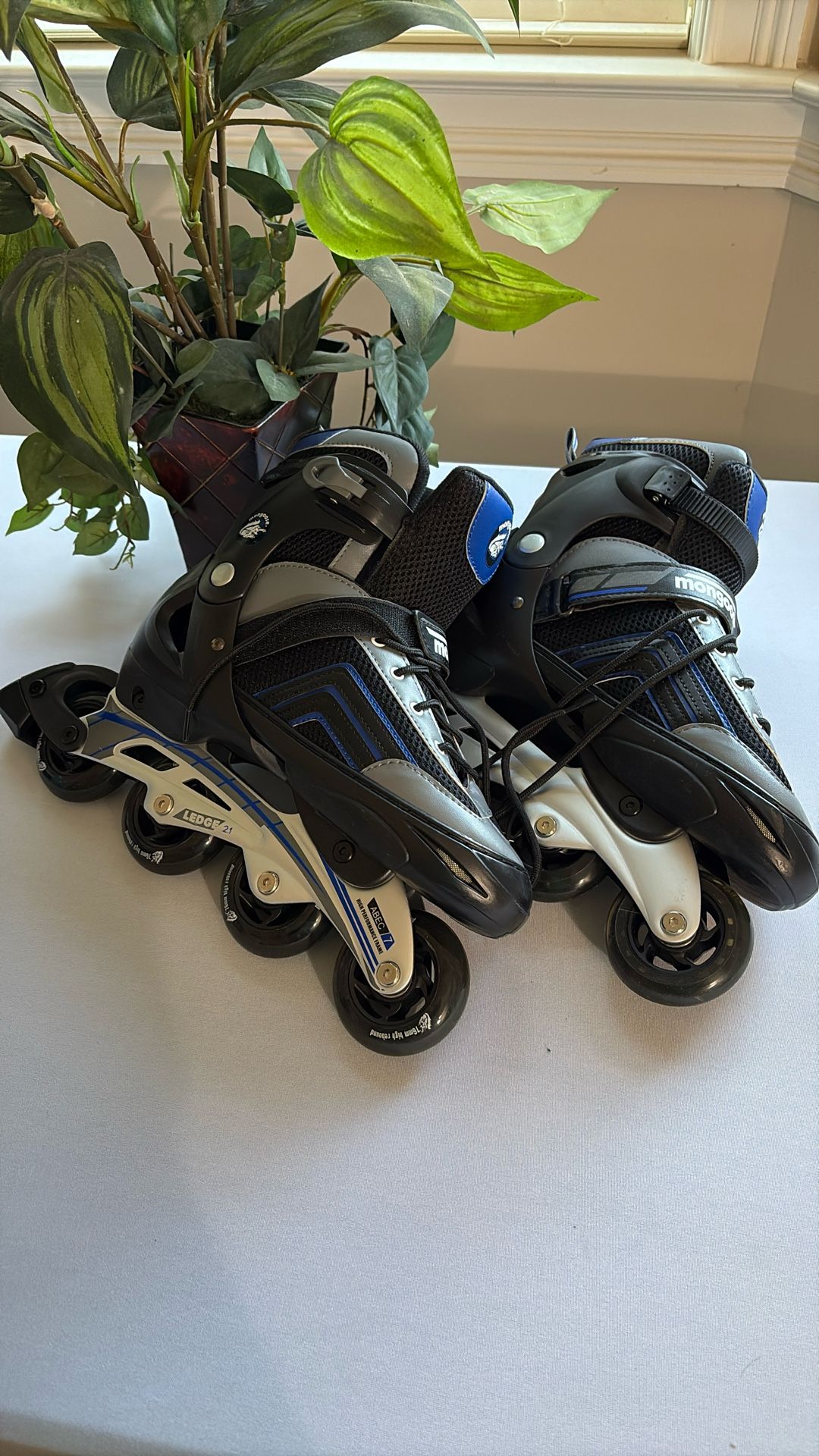 Roller Blades